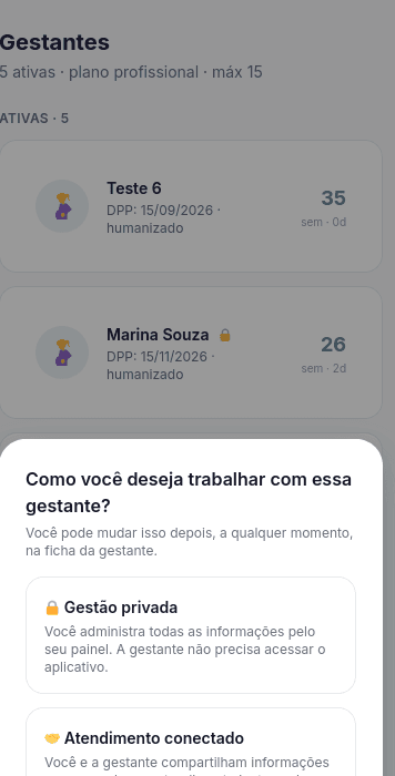 Tela de escolha entre Gestão Privada e Atendimento Conectado